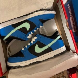 Nike Dunk Low SE Big Kid’s shoe. Never worn, brand new. Comes in original box.